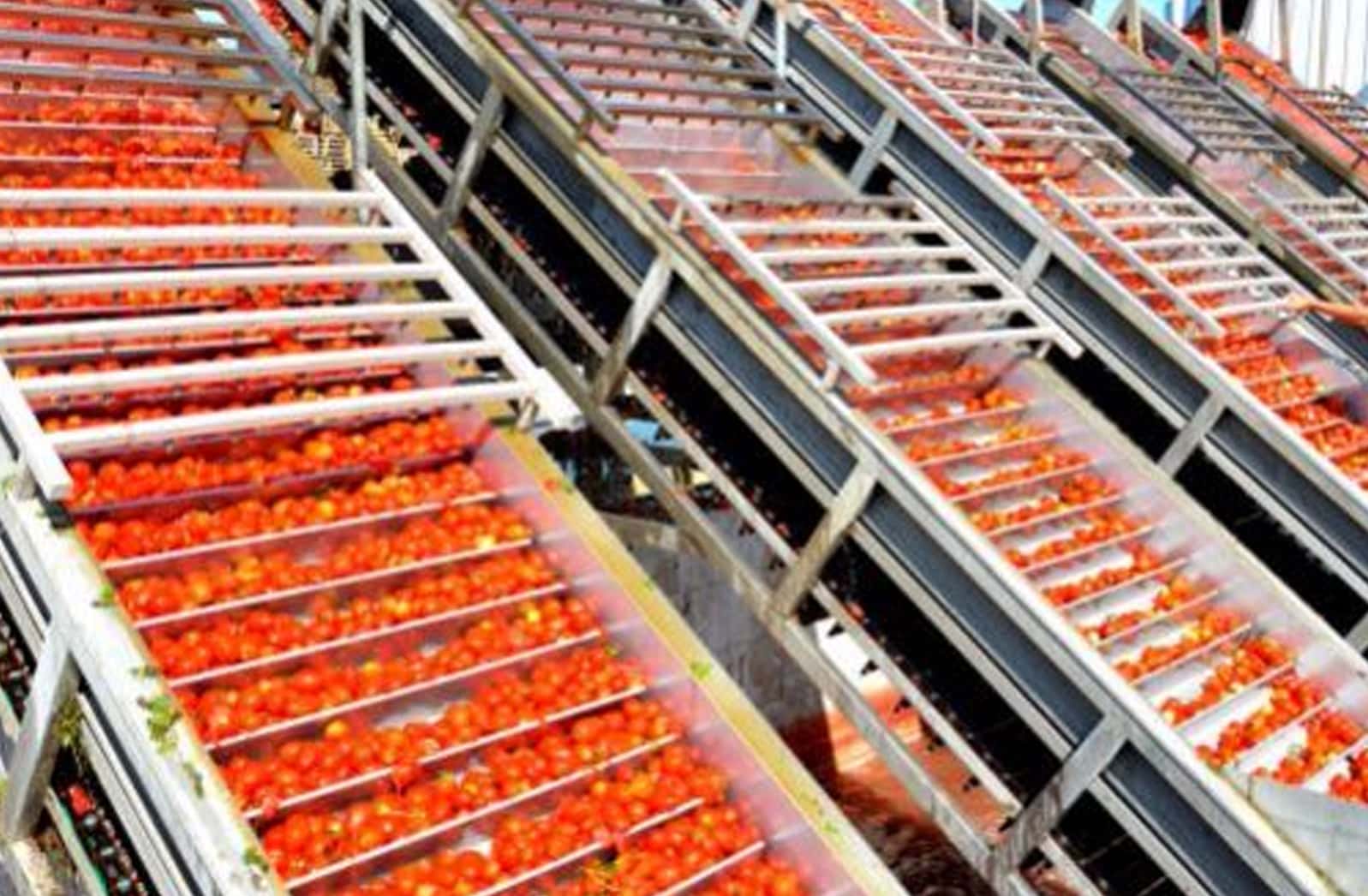 ASEPTISCHER BEUTEL FÜR FRUCHTPÜREE UND KONZENTRATE